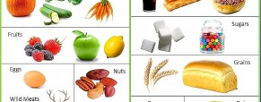 The Basics of the Paleo Diet