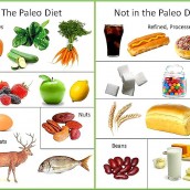 The Basics of the Paleo Diet